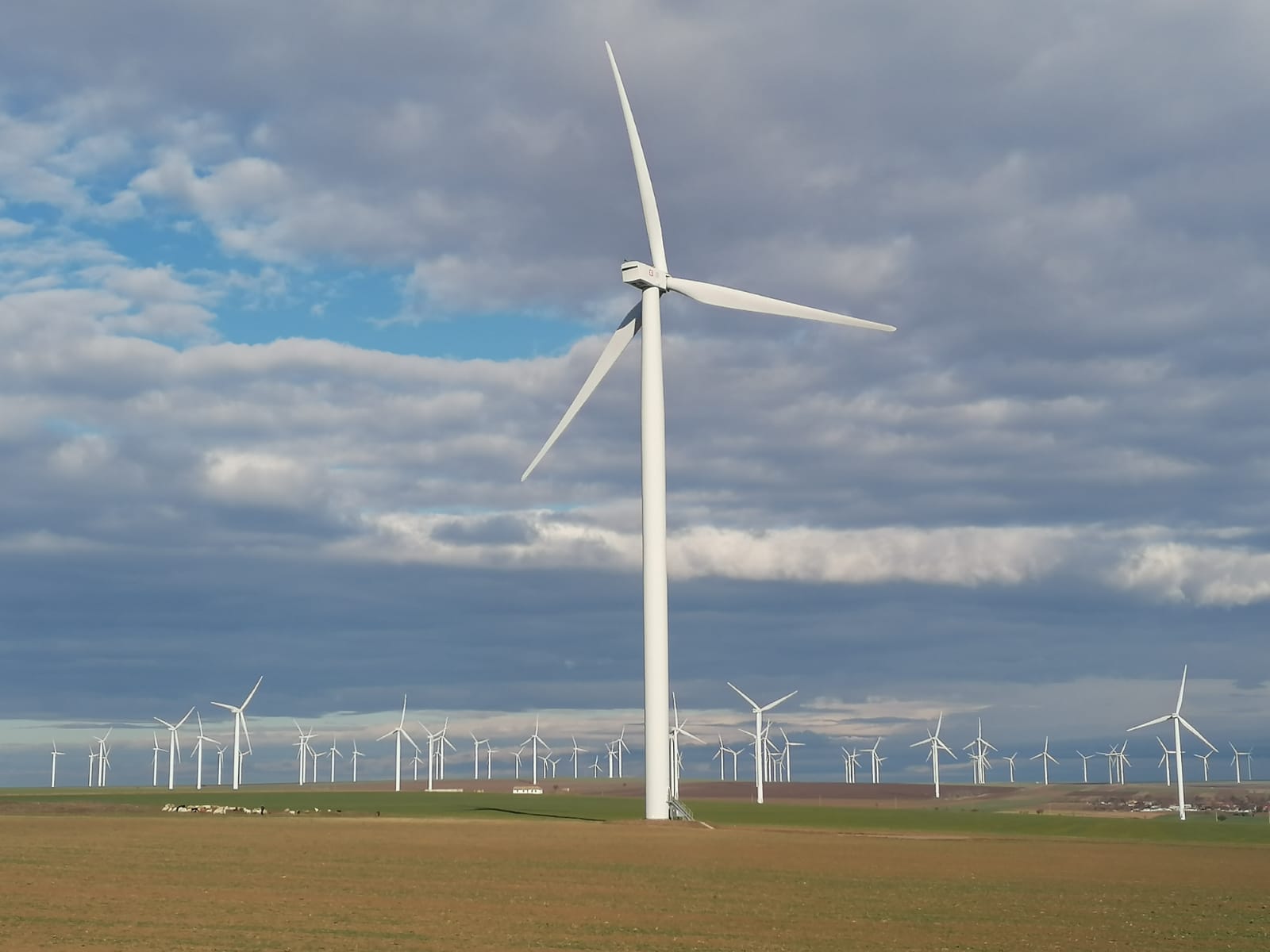 Producători de energie eoliană în România